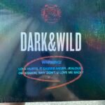 BTS- DARK&WILD photo review