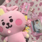 BT21 Baby Keychain Photocard Holder-Cooky photo review