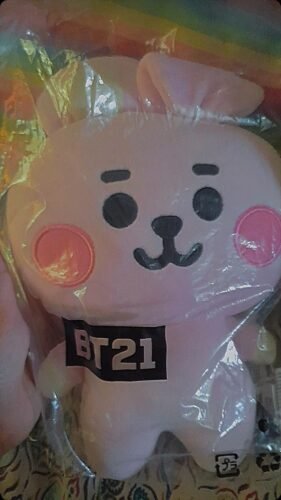 BT21 Baby Standing Plush-Cooky photo review