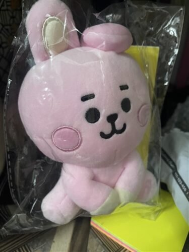BT21 Baby Sitting Plush-Cooky photo review