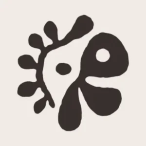 CORTIS Albums [Pre-Order]